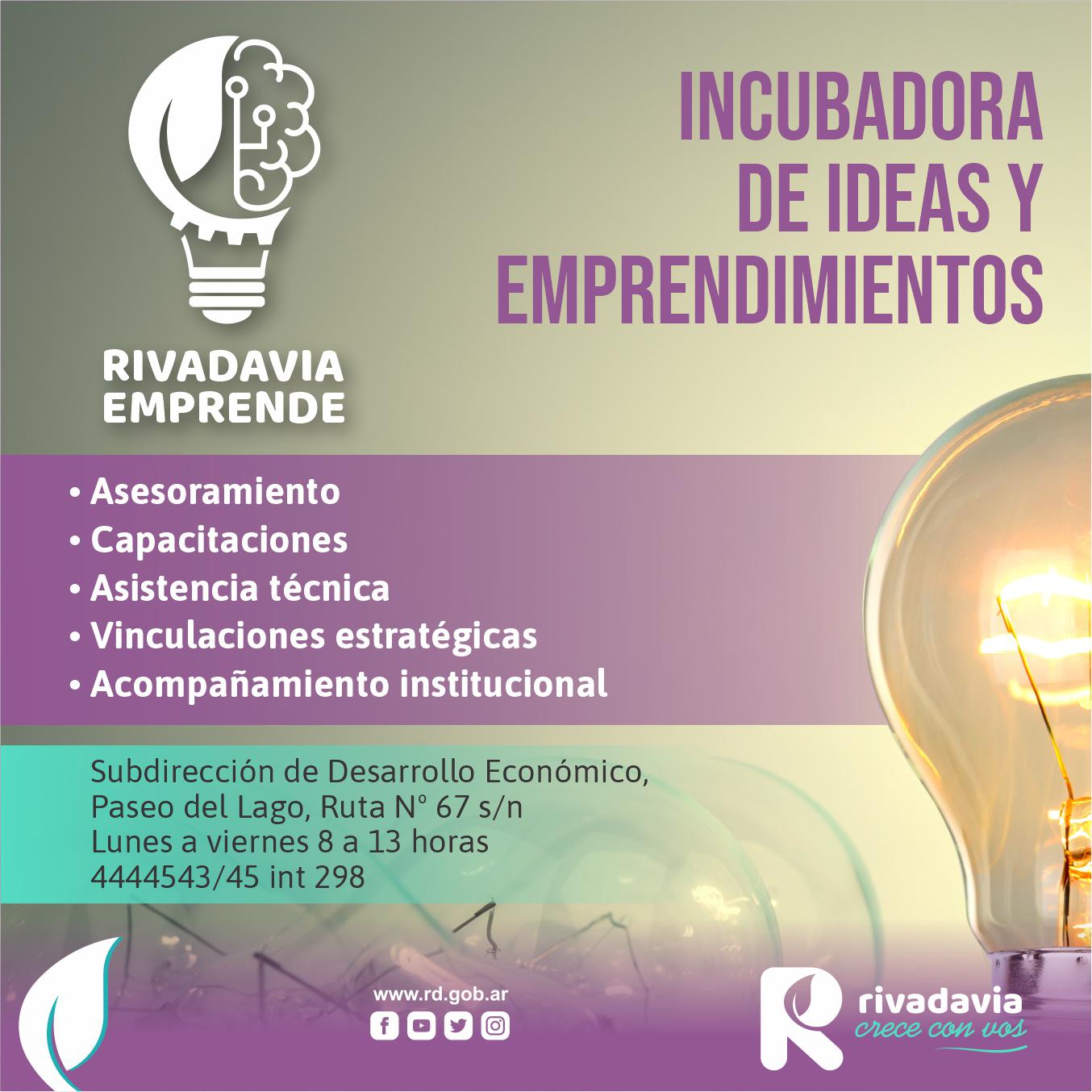 INCUBADORA OK (2)