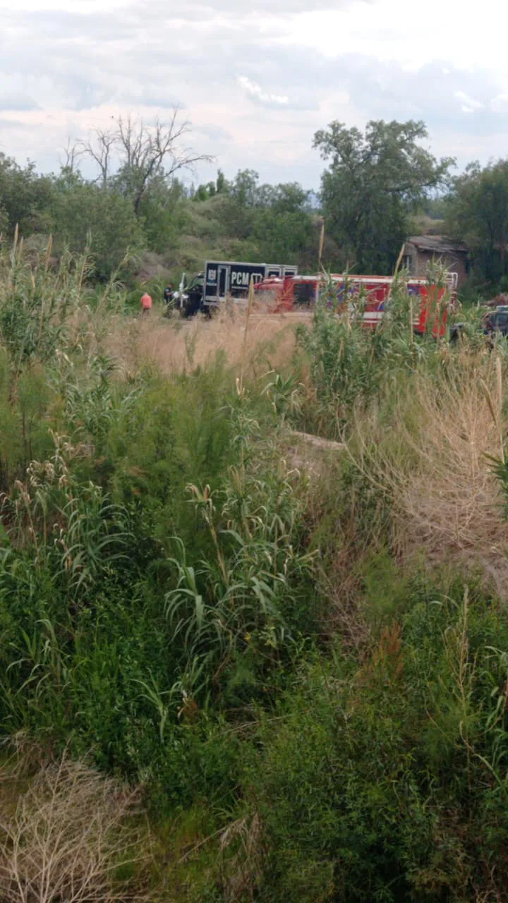 WhatsApp Image 2025-11-09 at 16.30.55