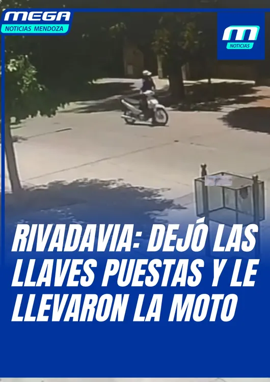 MOTO (11)