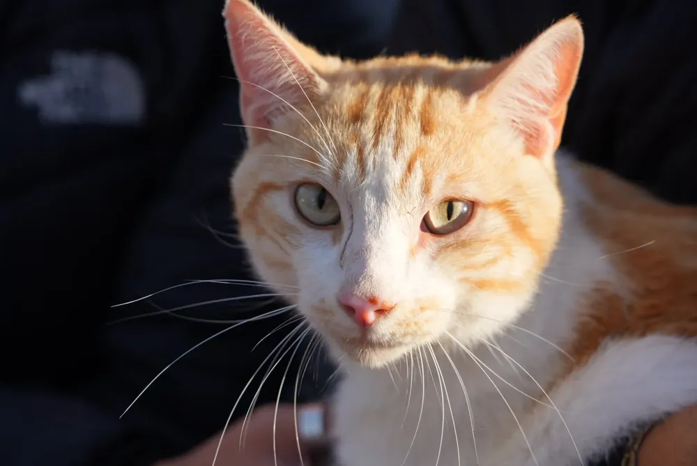 486622985_1076389601186322_5518657259957697635_n