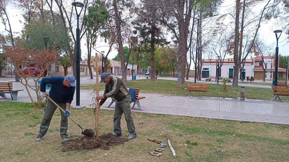 492004198_1003698761951040_4617439038976268826_n