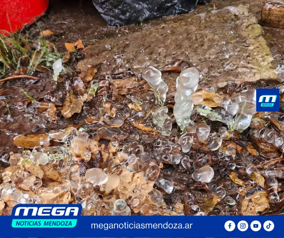 HIELO (1)