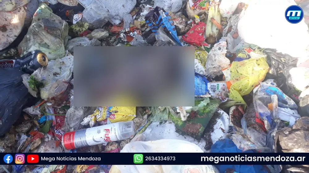 basura (1)