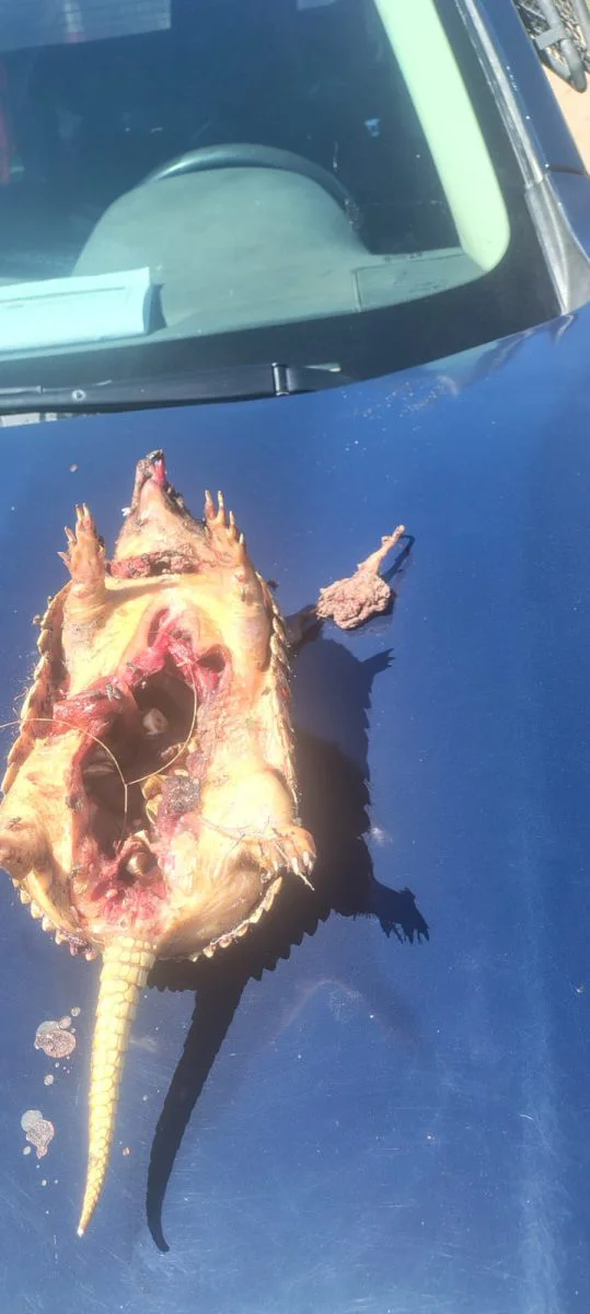 WhatsApp-Image-2026-03-25-at-11.46.531-539x1200