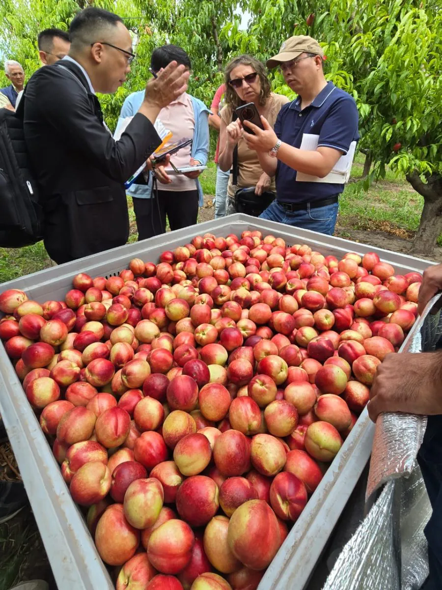 WhatsApp Image 2026-01-16 at 13.57.52