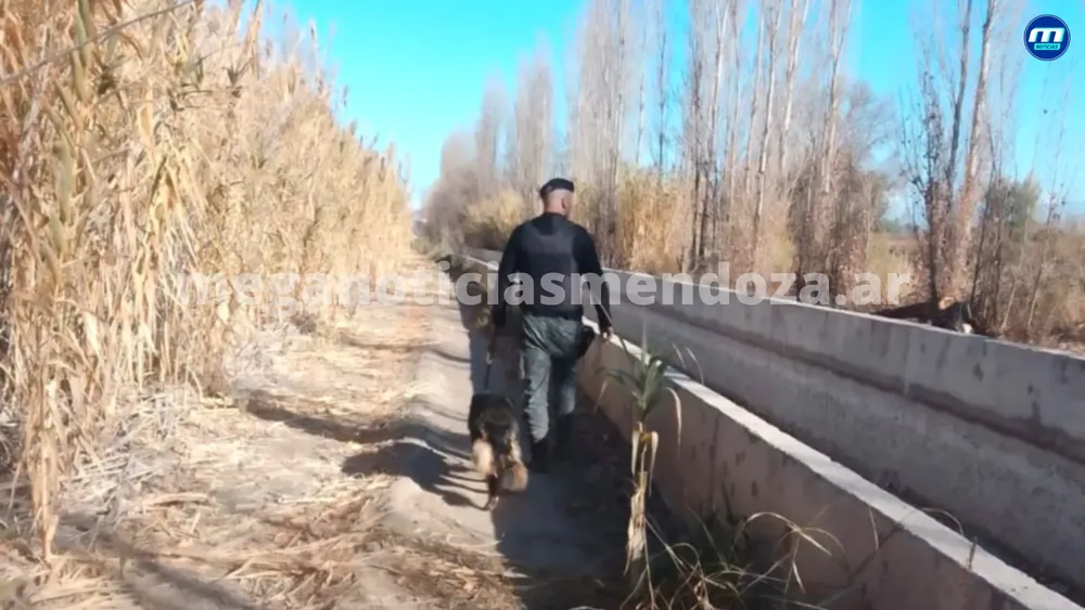 policia perro