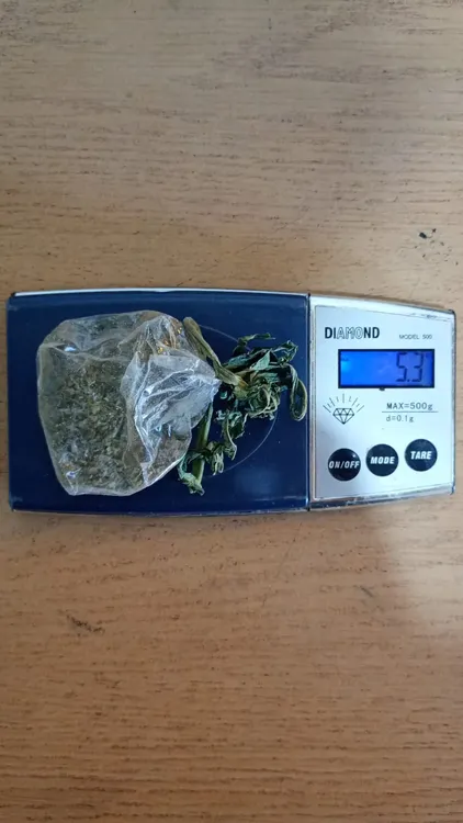 WhatsApp Image 2025-11-14 at 21.10.01