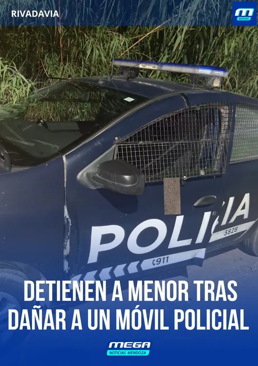 movil 