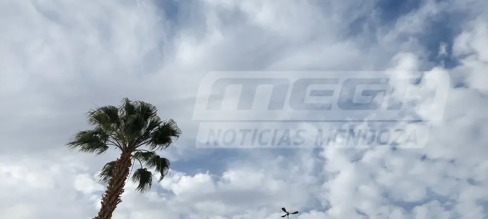 CIELO