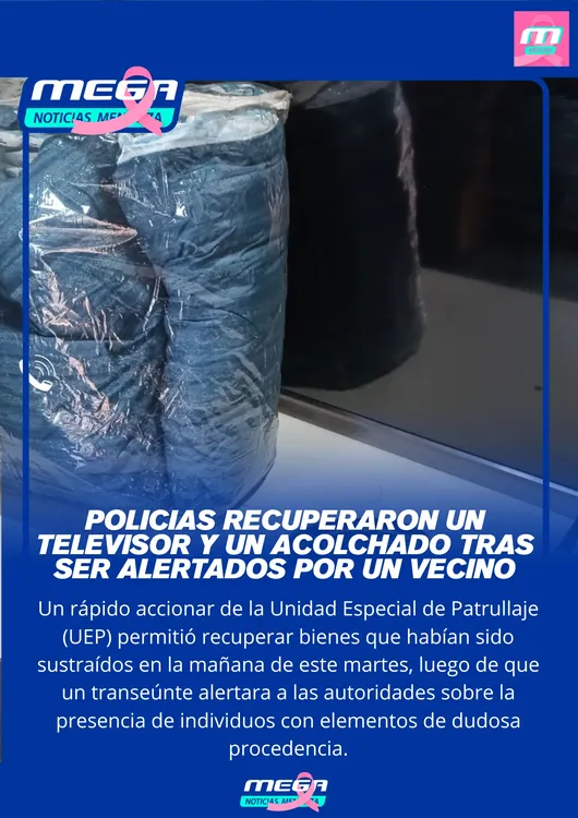 ACOLCHADO