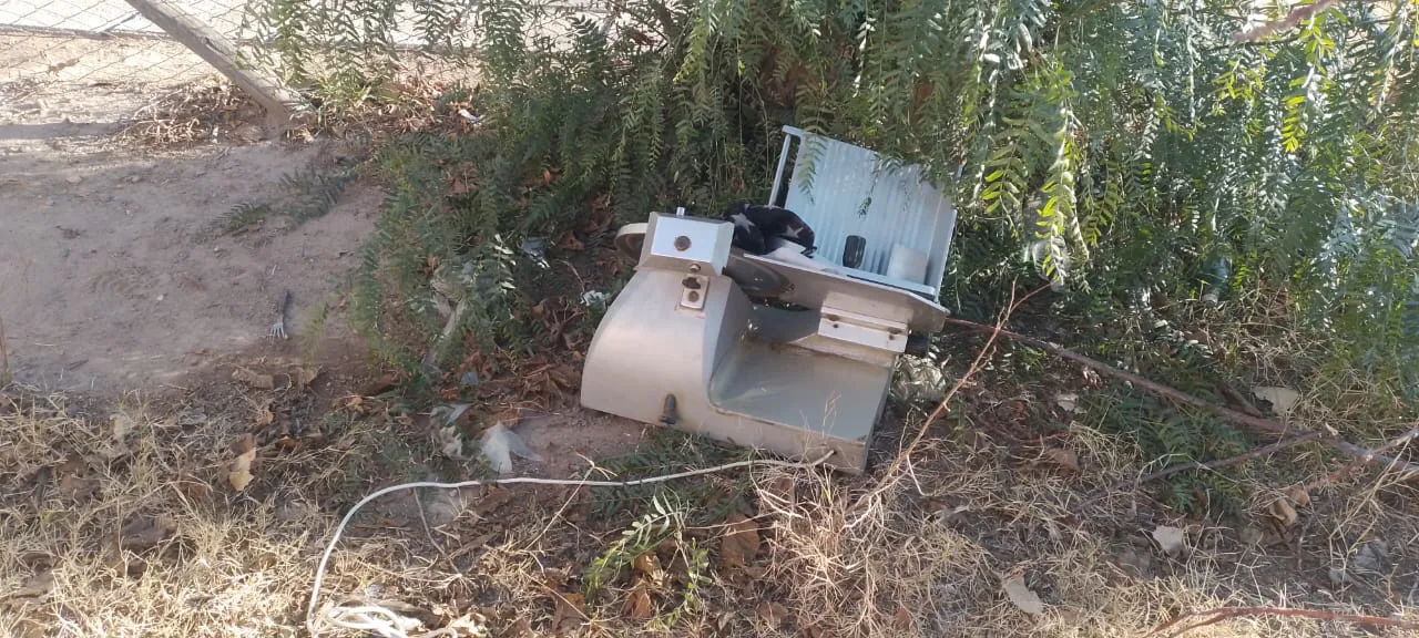 WhatsApp Image 2025-07-21 at 09.51.21