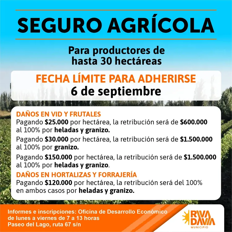 seguro agricola 24