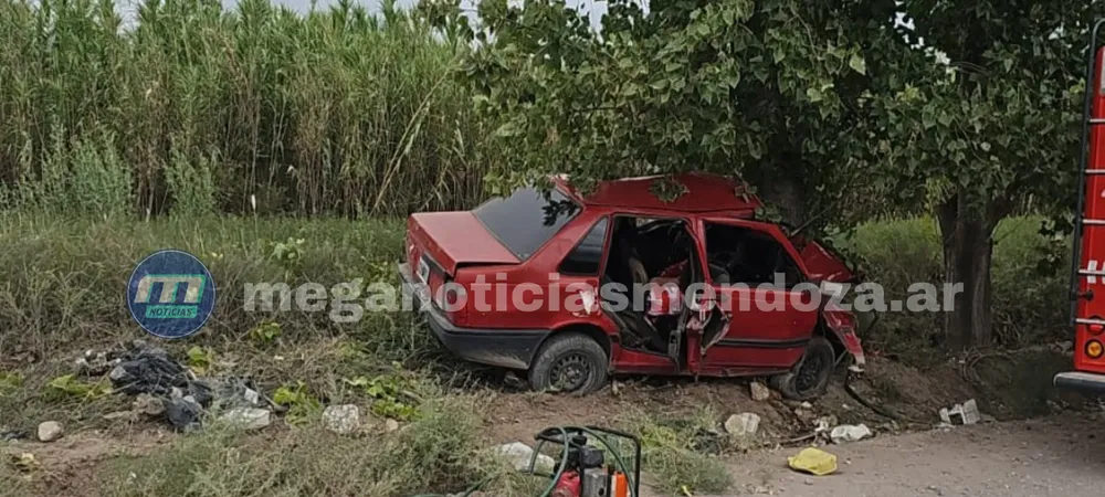 a_20260215_111522_0000