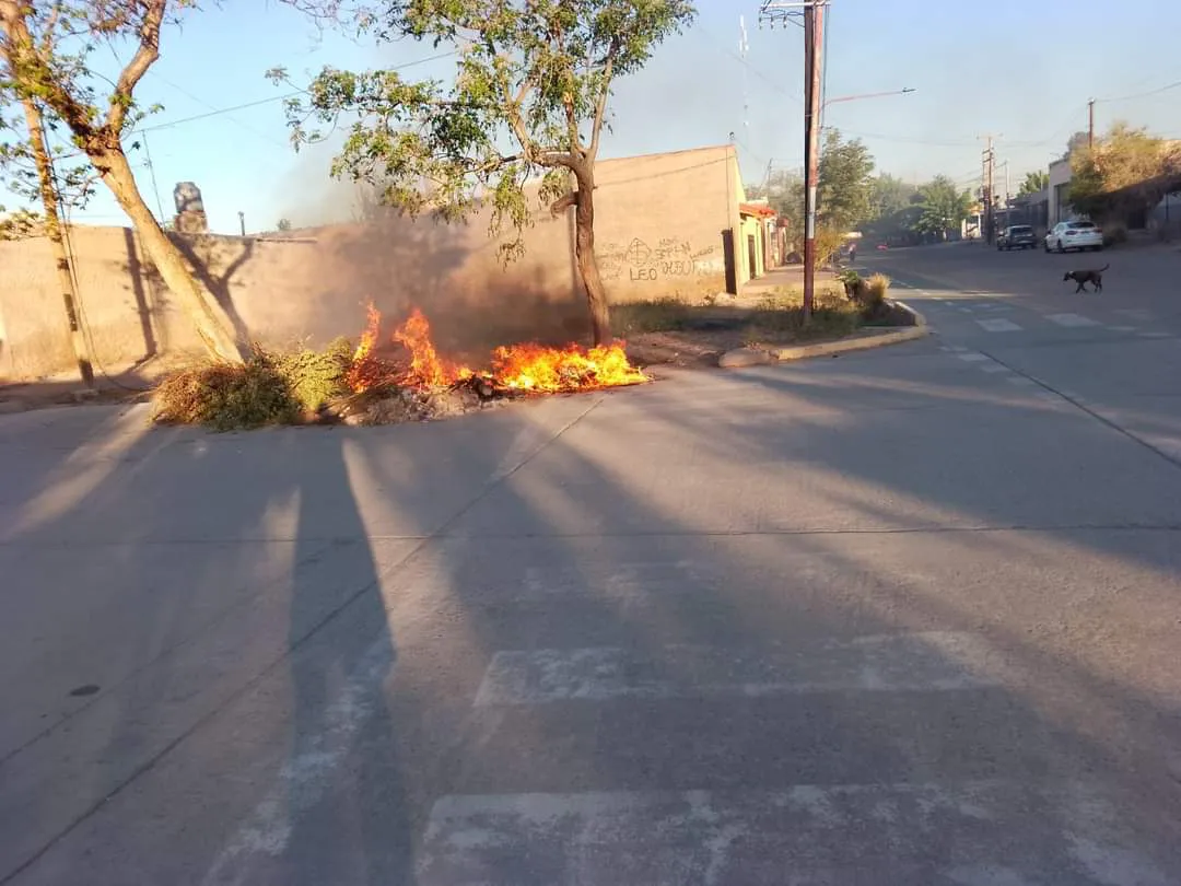 FB_IMG_1727956913952