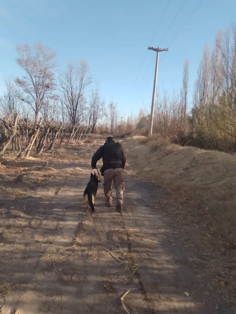 80d5e7f2-4bac-4ac6-92fa-f61f179bdaf8