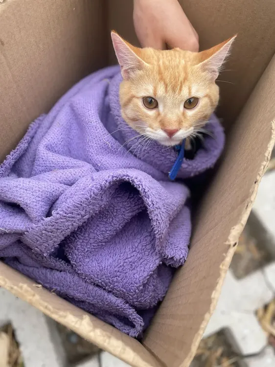 487424954_989005620087021_9052905068364498140_n